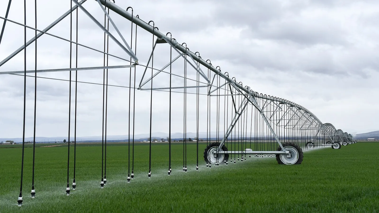 Center pivot irrigation machine with hanging spray hoses in field