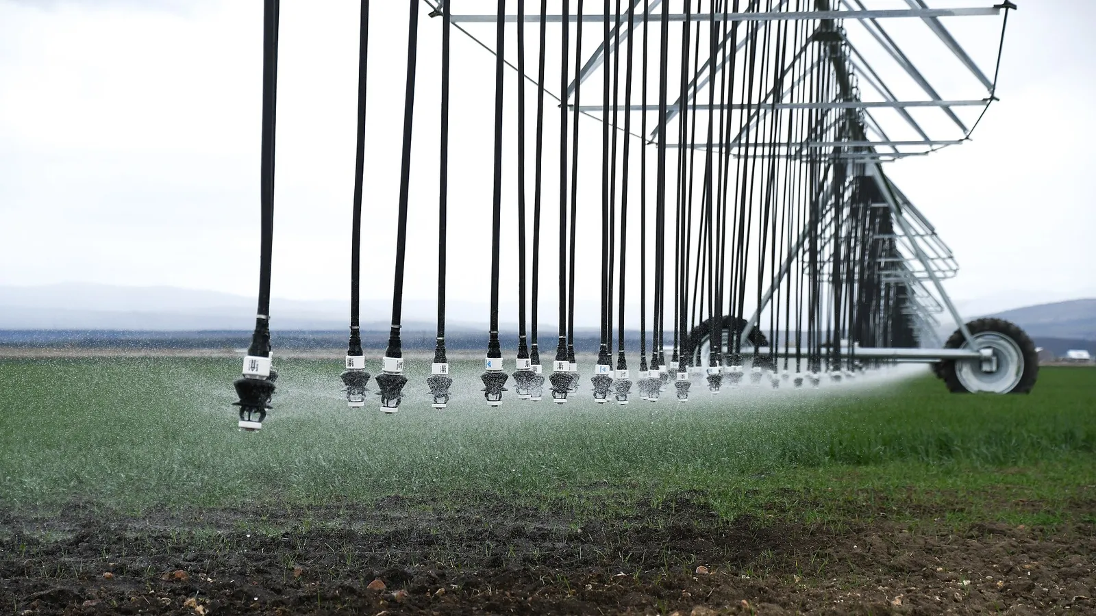 Irrigation drop hoses spraying water mist close-up