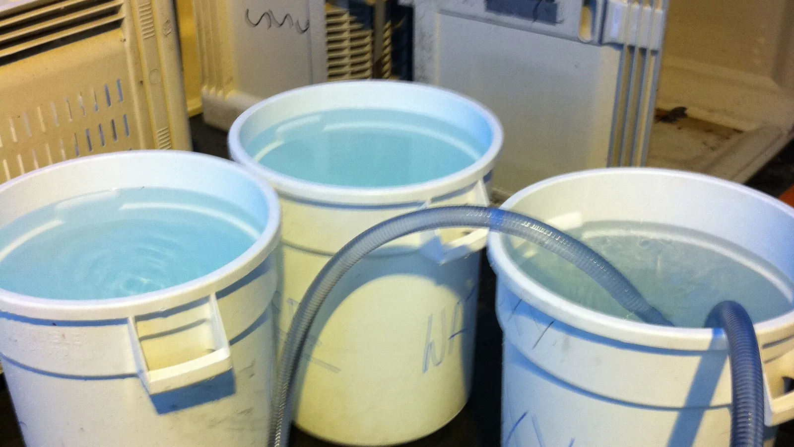 Chemical liquid transfer between drums with corrugated hose